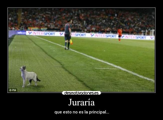 Juraría - que esto no es la principal...