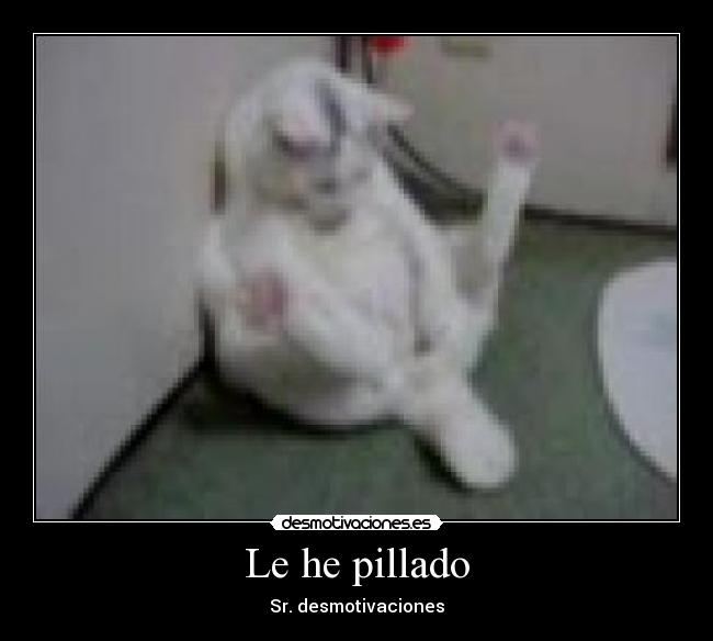 Le he pillado - Sr. desmotivaciones
