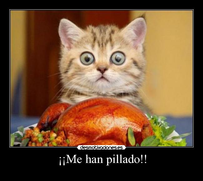 ¡¡Me han pillado!! -