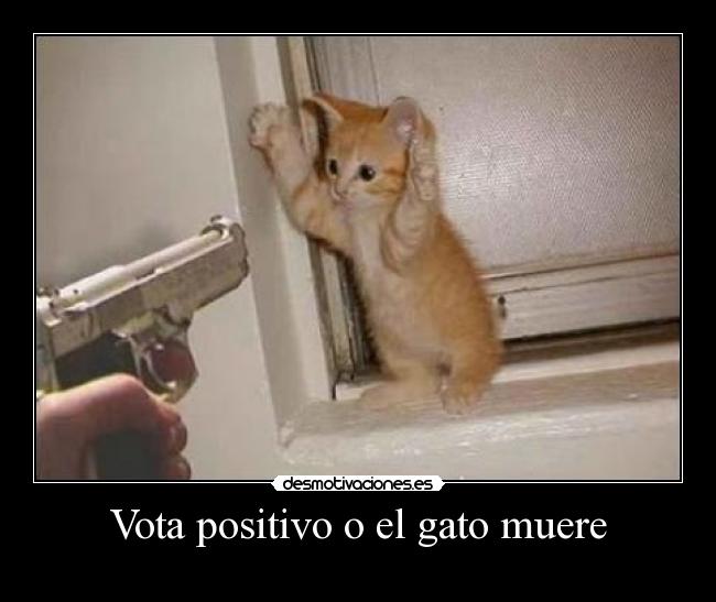 carteles vota positivo gatosmuere desmotivaciones