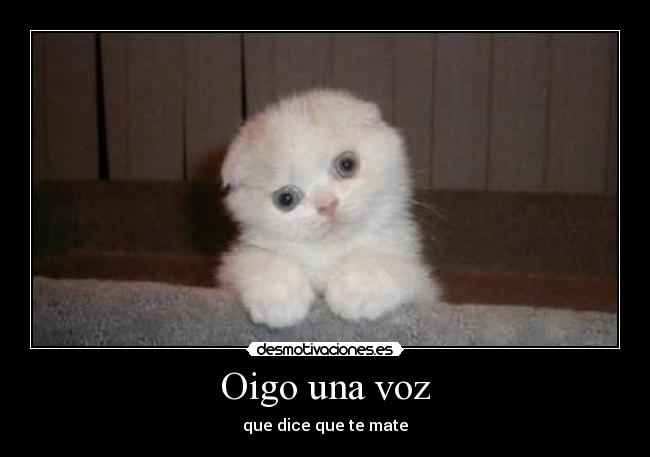 Oigo una voz -