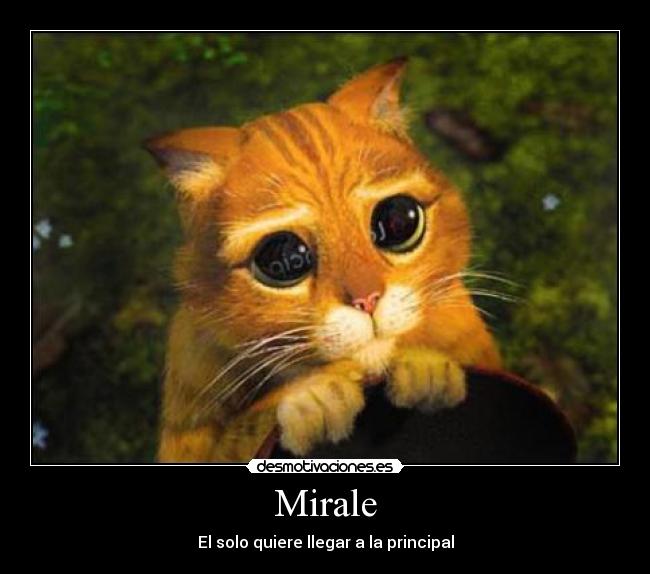 Mirale - El solo quiere llegar a la principal
