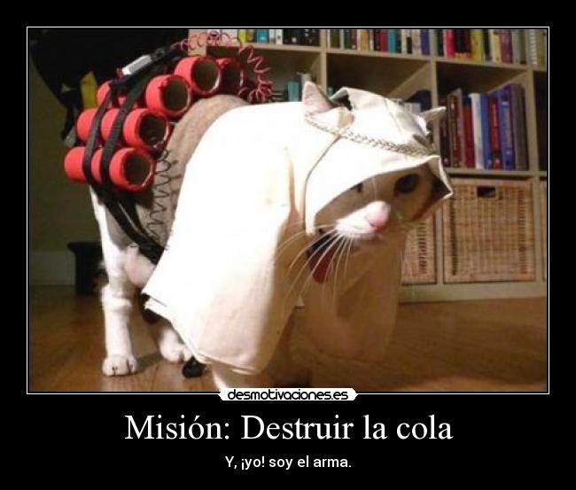 Misión: Destruir la cola - Y, ¡yo! soy el arma.