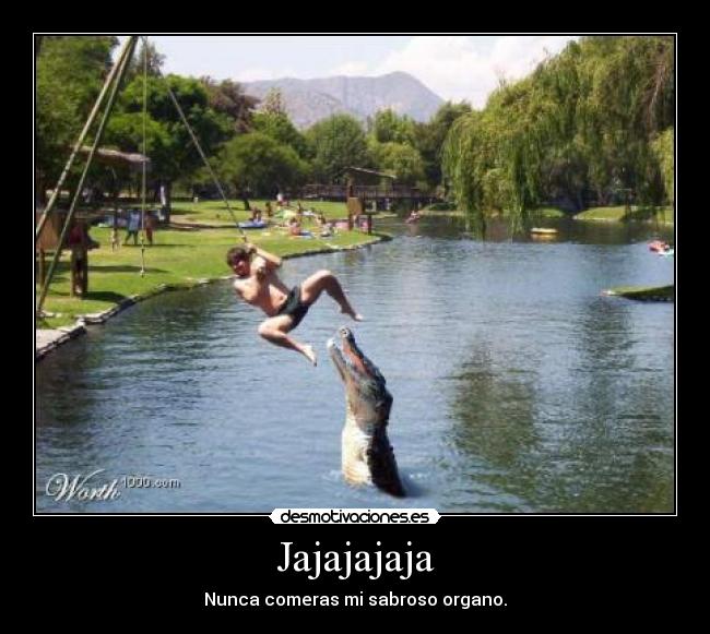 Jajajajaja - Nunca comeras mi sabroso organo.