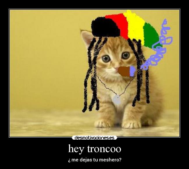 hey troncoo -