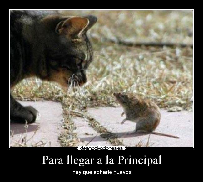 carteles fernandomatrix6 desmotivaciones