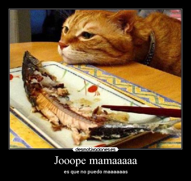 Jooope mamaaaaa - es que no puedo maaaaaas