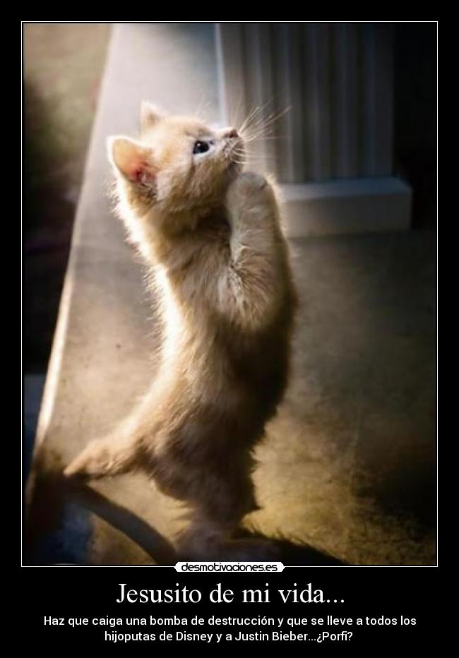 Jesusito de mi vida... - Haz que caiga una bomba de destrucción y que se lleve a todos los
hijoputas de Disney y a Justin Bieber...¿Porfi? 