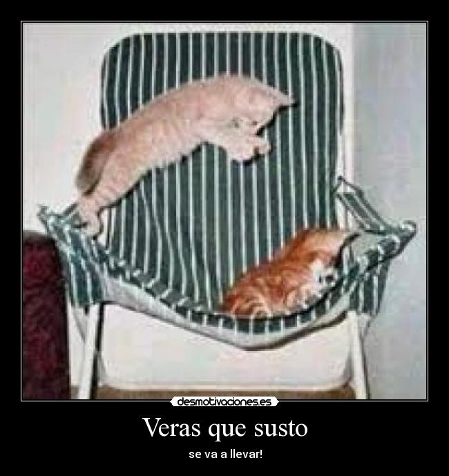 carteles sustos desmotivaciones