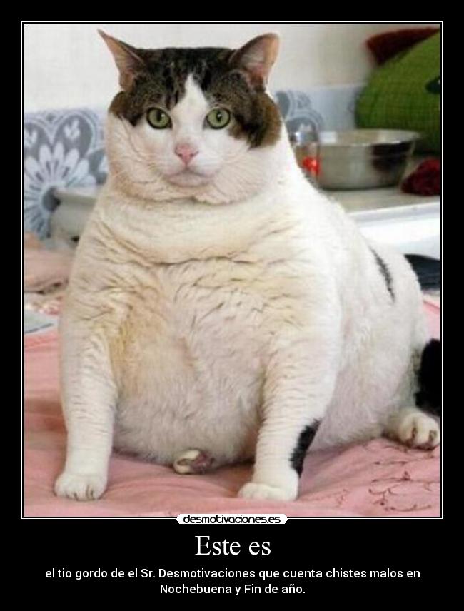 Este es - el tio gordo de el Sr. Desmotivaciones que cuenta chistes malos en
Nochebuena y Fin de año.