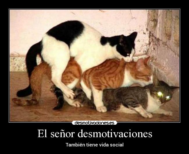 El señor desmotivaciones - También tiene vida social