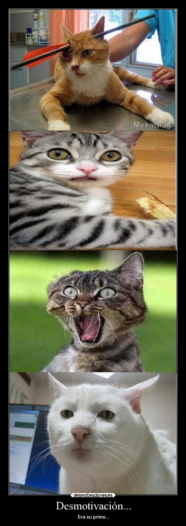 Desmotivación... - Era su primo...