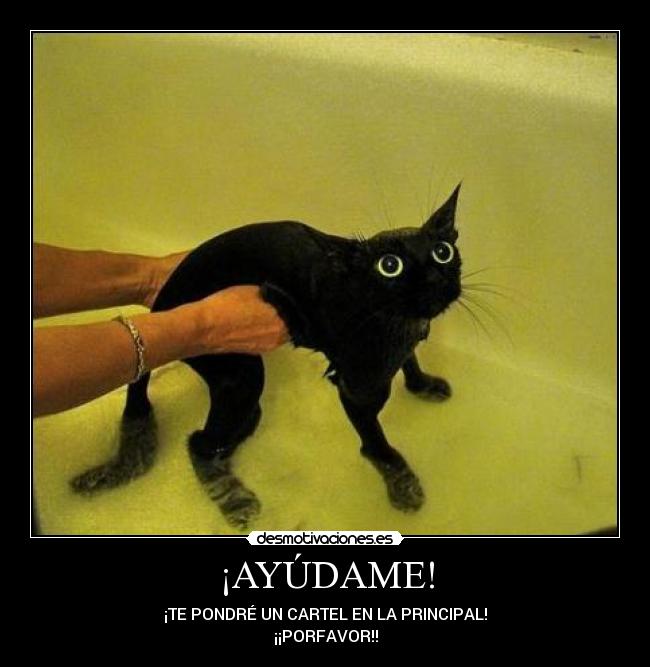 ¡AYÚDAME! -