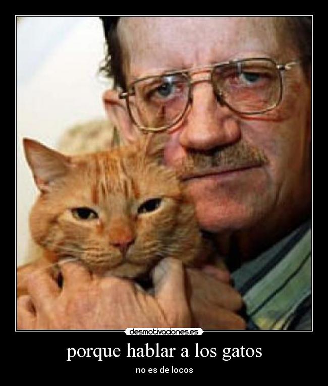 carteles gatos desmotivaciones