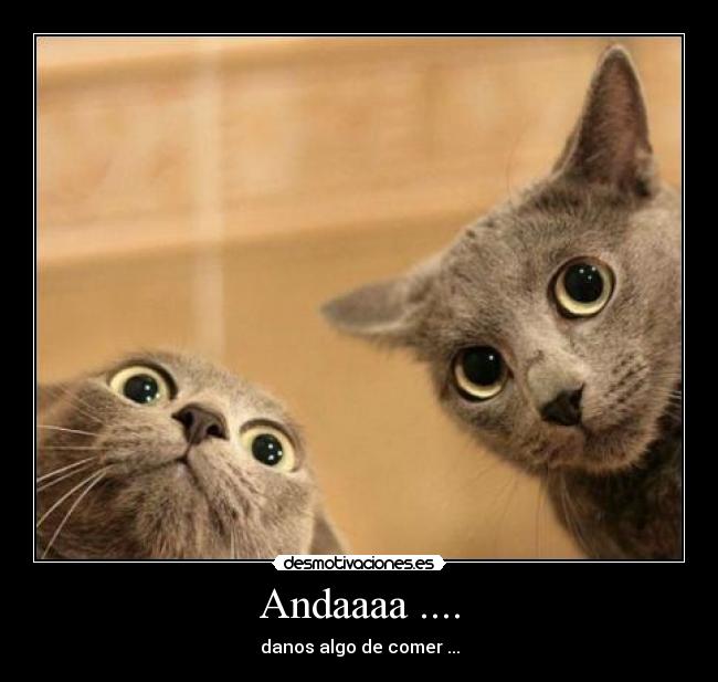 Andaaaa .... - danos algo de comer ...