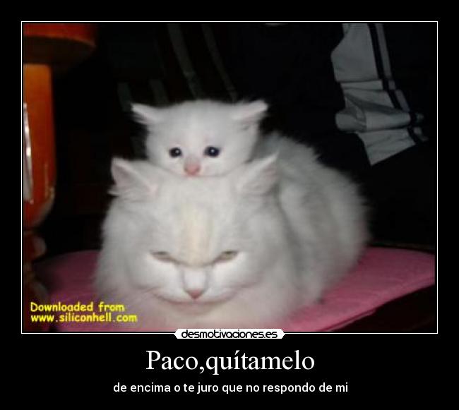 Paco,quítamelo - de encima o te juro que no respondo de mi