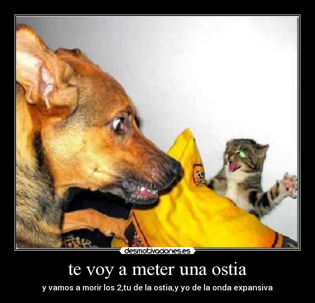 te voy a meter una ostia - y vamos a morir los 2,tu de la ostia,y yo de la onda expansiva