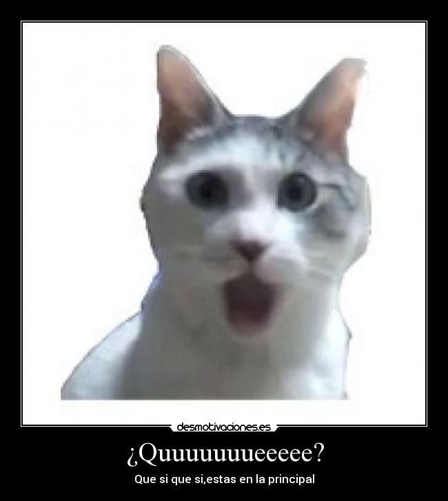 carteles que desmotivaciones