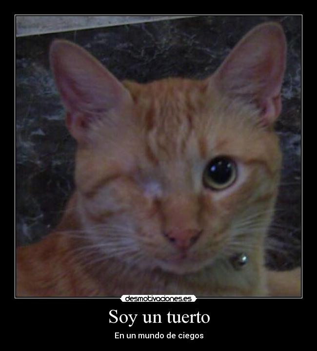 Soy un tuerto - En un mundo de ciegos