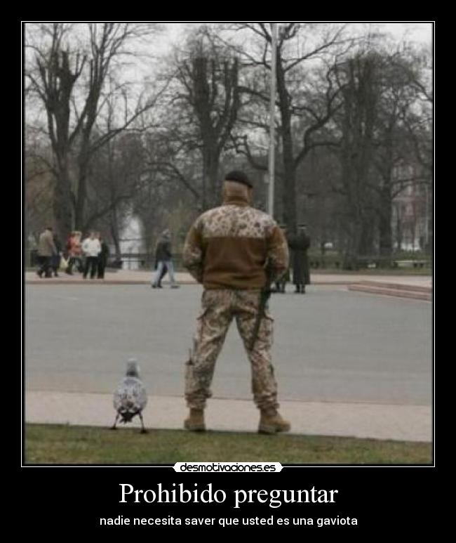 Prohibido preguntar - nadie necesita saver que usted es una gaviota