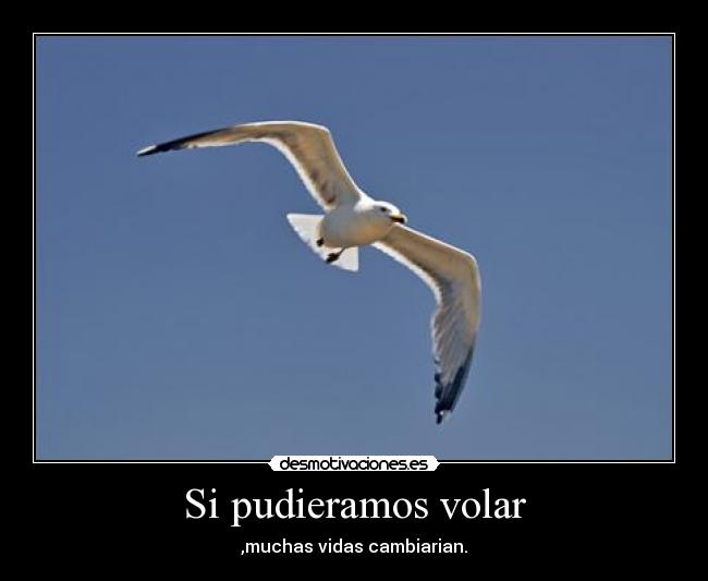 Si pudieramos volar -