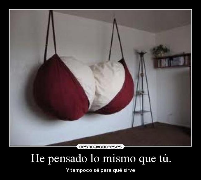 He pensado lo mismo que tú. - Y tampoco sé para qué sirve