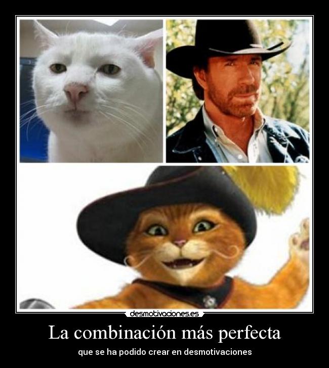 La combinación más perfecta - que se ha podido crear en desmotivaciones