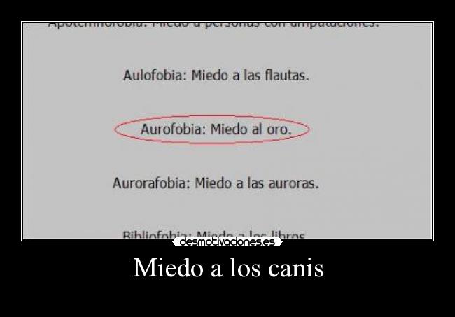Miedo a los canis -
