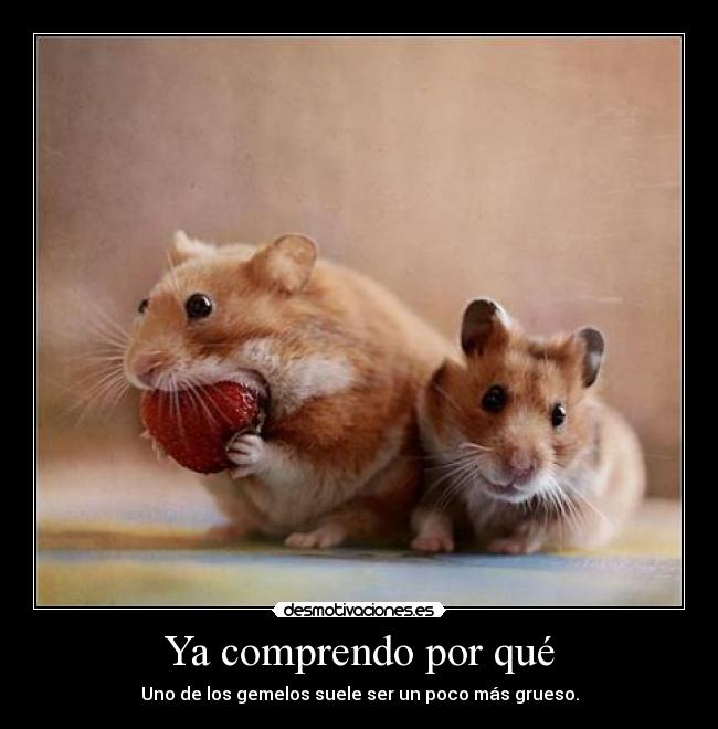 carteles uno elos gemelos suele ser poco mas grueso ahora comprendo porque desmotivaciones