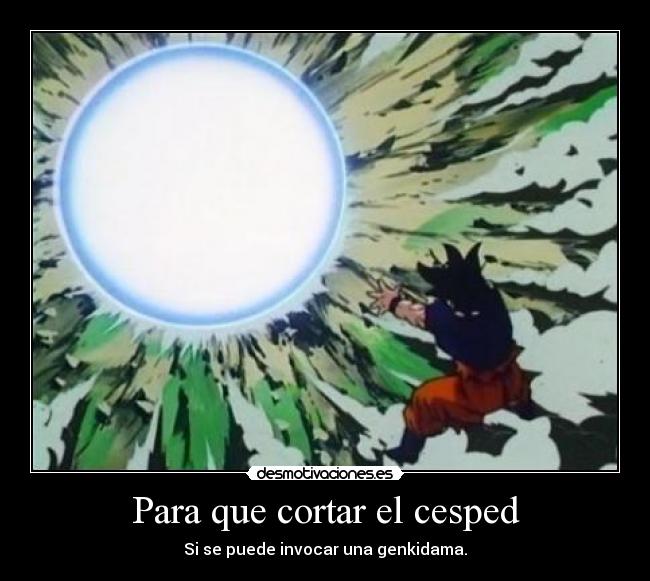 Para que cortar el cesped -