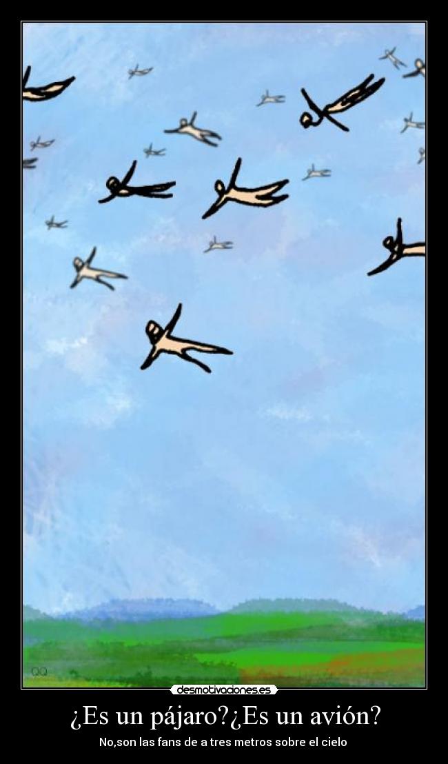 ¿Es un pájaro?¿Es un avión? - 