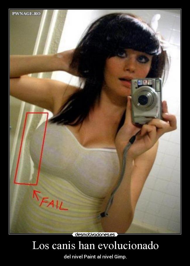 Los canis han evolucionado -