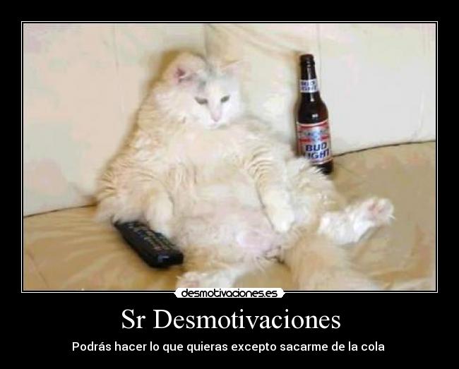 Sr Desmotivaciones - Podrás hacer lo que quieras excepto sacarme de la cola