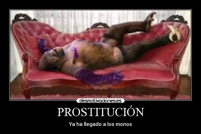 PROSTITUCIÓN -