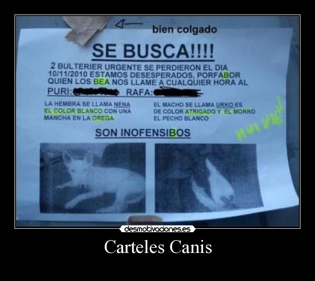 Carteles Canis - 