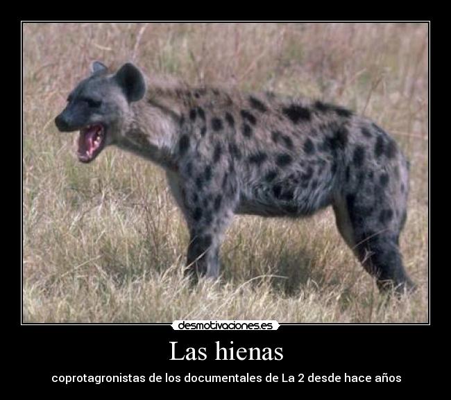 Las hienas -