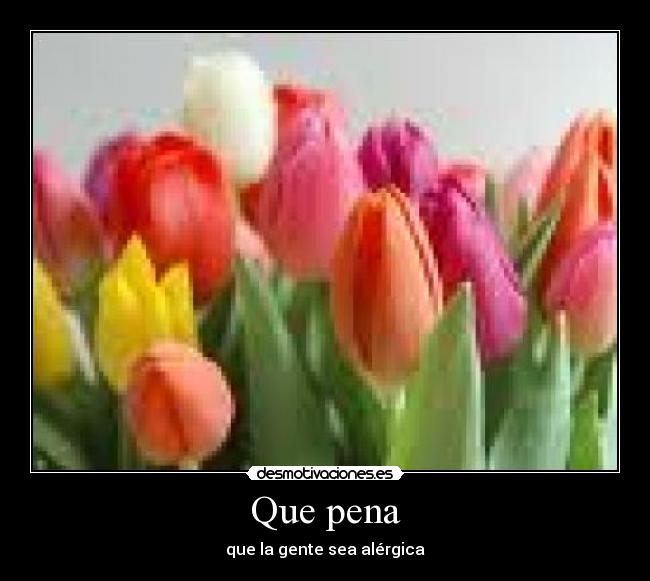 Que pena - que la gente sea alérgica