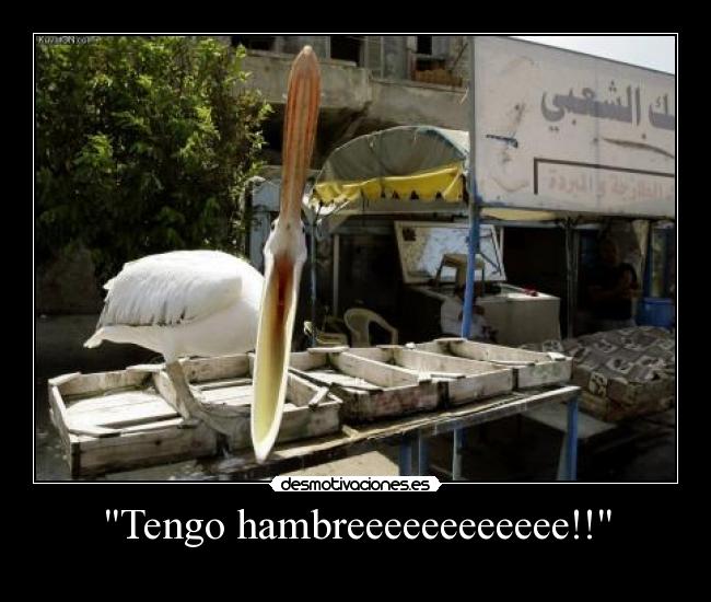 Tengo hambreeeeeeeeeeee!! -