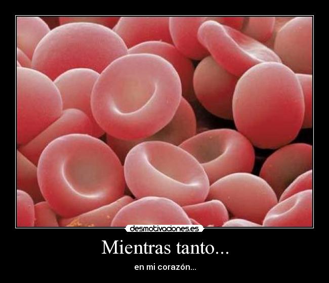 Mientras tanto... - en mi corazón...