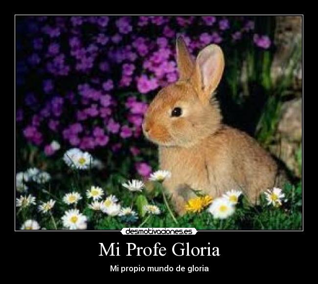 carteles reganes ponerlo minuskulas desmotivaciones