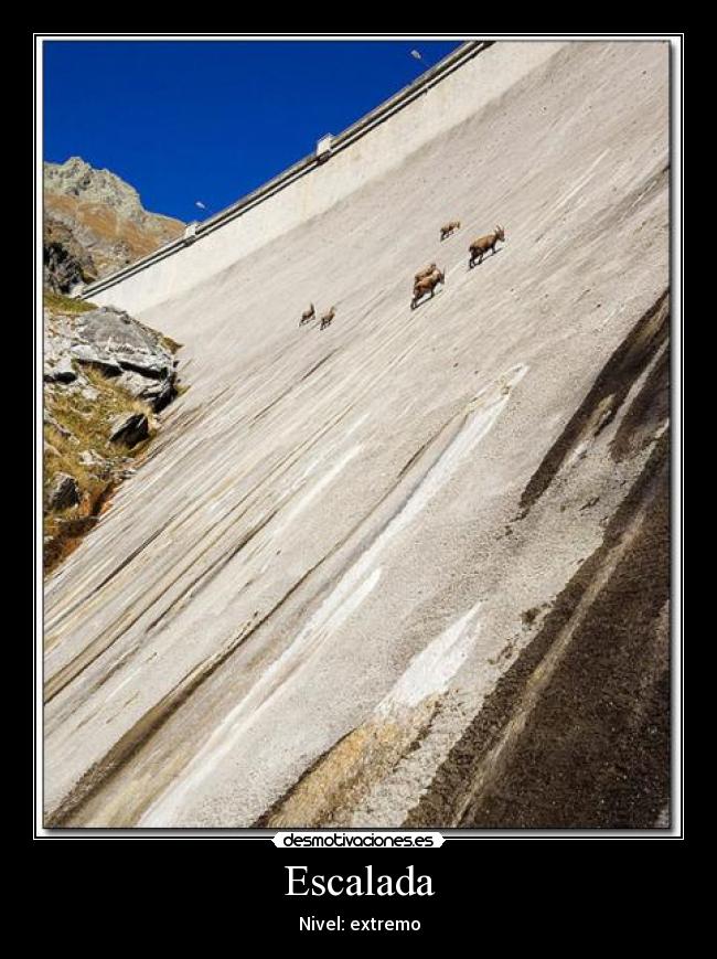 carteles escalada nivel extremo presa cabras montesas climbing desmotivaciones