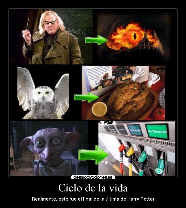 carteles vida harry potter reliquias muerte hogwarts ojoloco moody dobby hedwig lechuza pajaro pollo sauron desmotivaciones