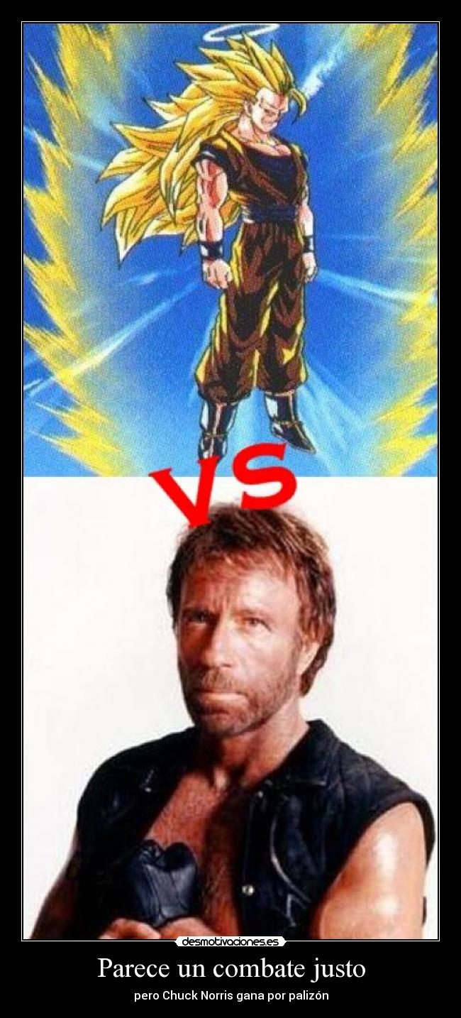 Parece un combate justo -