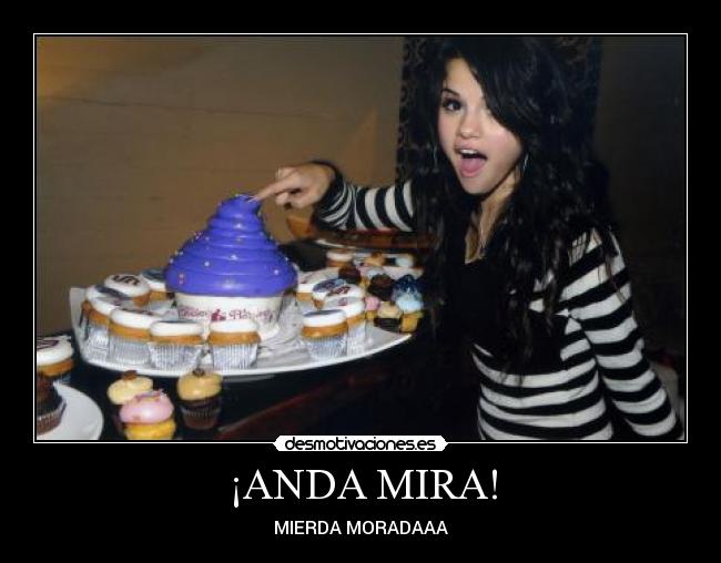 ¡ANDA MIRA! - MIERDA MORADAAA