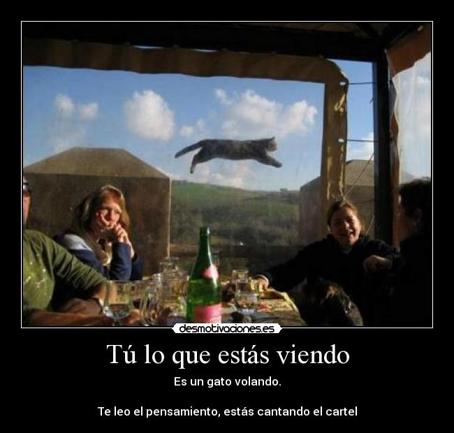 Tú lo que estás viendo -