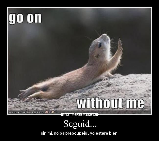 Seguid... - 