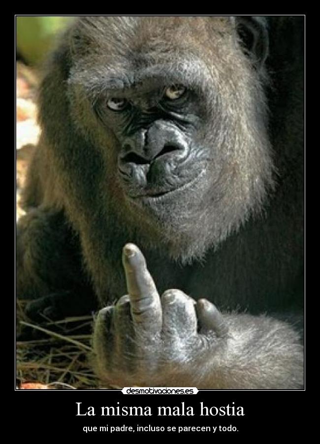 La misma mala hostia - 