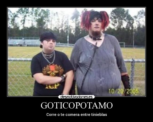 GOTICOPOTAMO - 