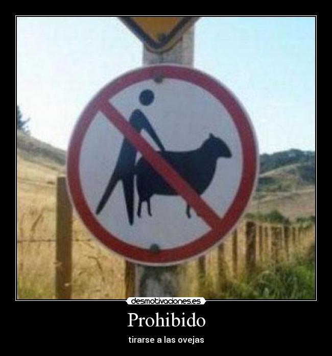 Prohibido - tirarse a las ovejas