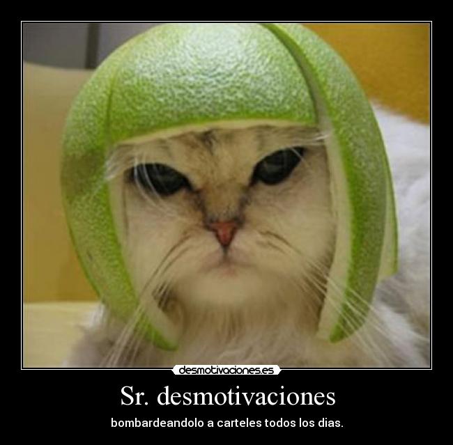 Sr. desmotivaciones -